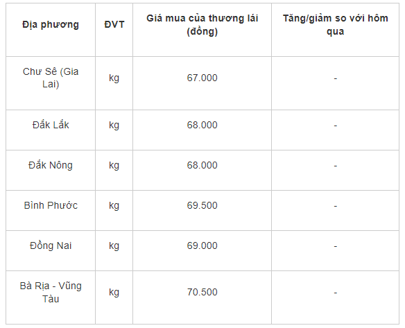 Gia tieu hom nay 21/7: On dinh quanh moc 67.000 - 70.500 dong/kg