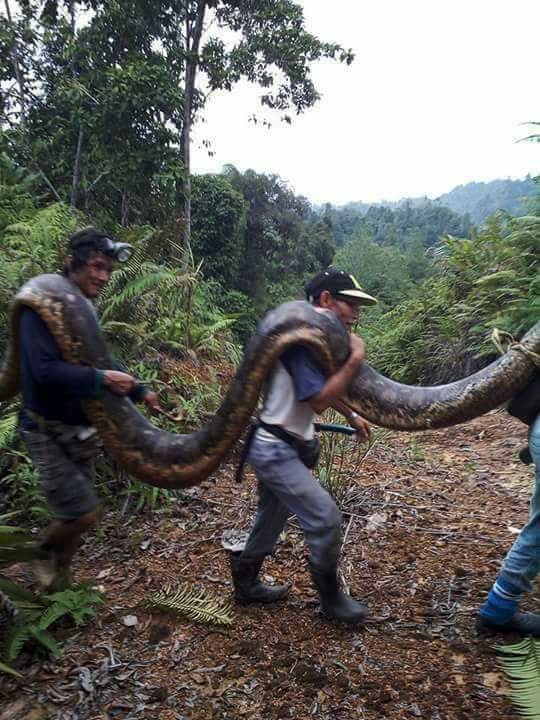 Di dao cho khoe nguoi, dung tim vi dung do “tran tinh” khong lo-Hinh-6