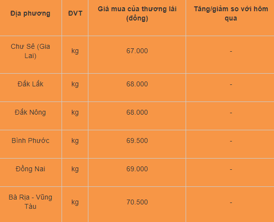 Gia tieu hom nay 31/7: On dinh, cao nhat 70.500 dong/kg