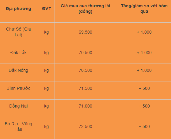 Gia tieu hom nay 3/8: Tang lien tiep, noi cao nhat 72.500 dong/kg