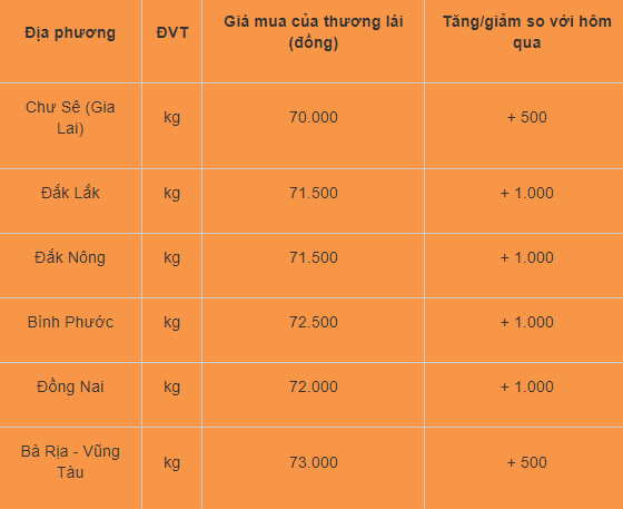 Gia tieu hom nay 4/8: Van tang manh, cao nhat 73.000 dong/kg