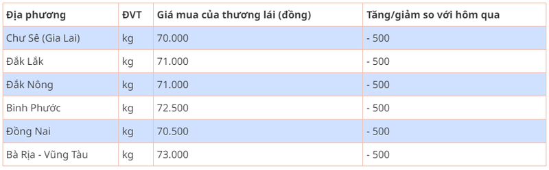 Gia tieu hom nay 15/8: Dong loat giam 500 dong/kg