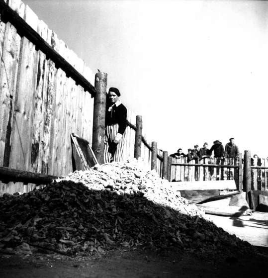 Nhung khung hinh am anh o trai tap trung Buchenwald-Hinh-5