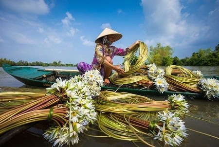 25 anh dep Viet Nam khien du khach nhin la muon den-Hinh-7