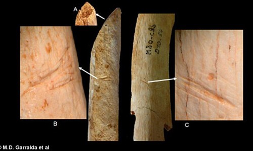 Phat hien bang chung moi nghi nguoi Neanderthal an thit dong loai