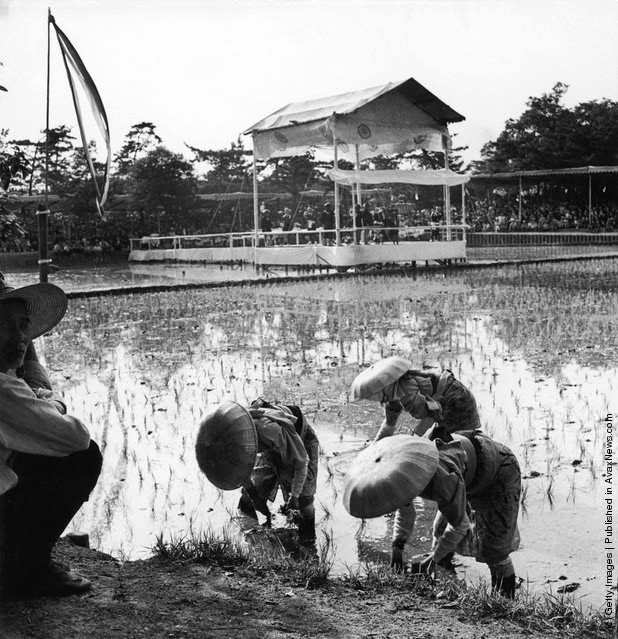 Nhat Ban yen binh qua loat anh chup nhung nam 1950 - 1960-Hinh-5