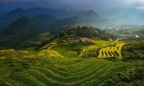 Ruong bac thang Viet Nam tuyet dep tren National Geographic