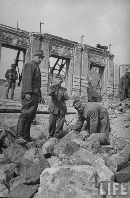 Anh: Stalingrad nam 1947 vuon minh tu dong tro tan chien tranh-Hinh-7