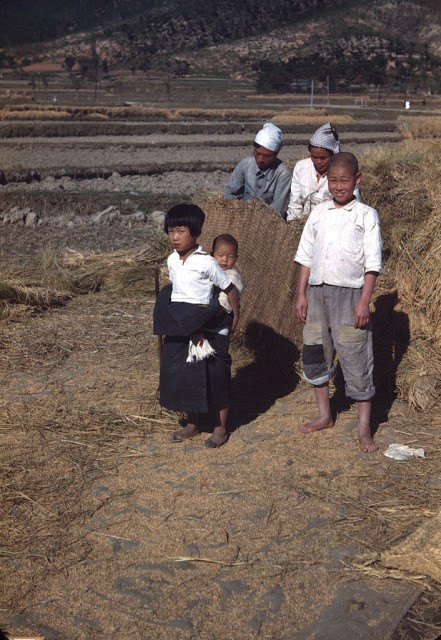 Anh doc: Han Quoc nhung nam dau 1950 trong the nao?-Hinh-6