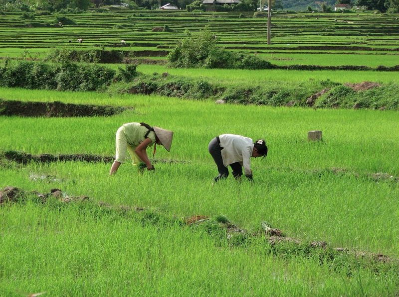 VN - chuyen du lich tuyet nhat trong doi cua phong vien Business Insider-Hinh-6