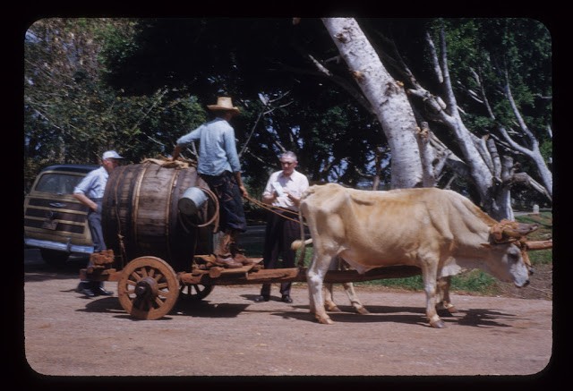 Anh doc: Cuba nhung nam 1950 trong the nao?-Hinh-6