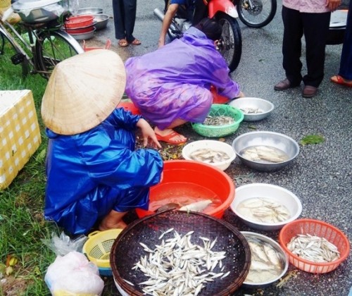 Ngu dan trang dem buong luoi muu sinh mac lu ve-Hinh-2