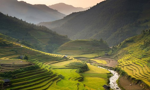 Ruong bac thang Sapa vao top diem den muon nhin thay buoi sang