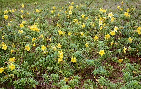 Tham doanh trai don bien phong o nga ba Dong Duong-Hinh-6