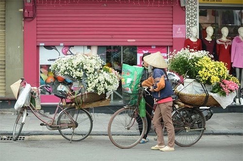 Chum anh nghe muu sinh mang hoa ve pho-Hinh-7