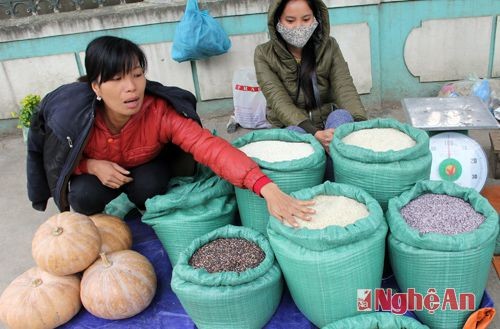 Nhung san vat noi bat mua dong cua mien Tay xu Nghe-Hinh-14