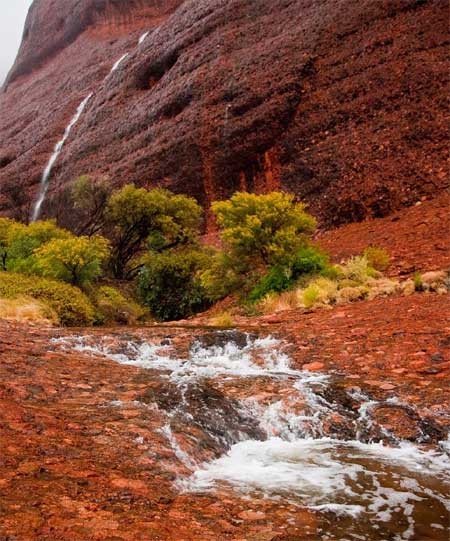 Kham pha bi mat nui thieng Uluru o Australia-Hinh-7