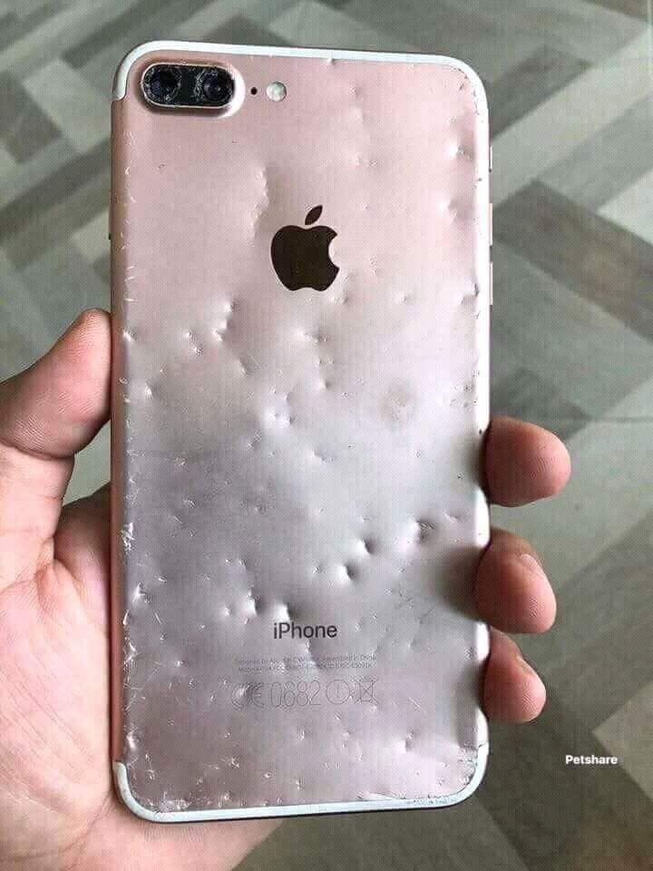 Chet cuoi voi bo mat cua chu cho can nat iPhone 8 Plus-Hinh-2