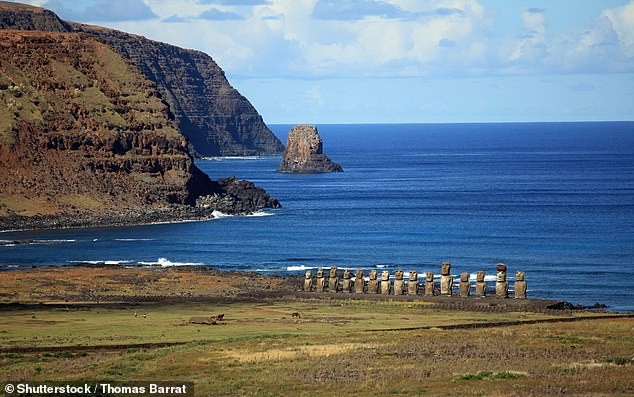 Tuyen bo soc ve tuong moai bi an tren dao Phuc Sinh-Hinh-2