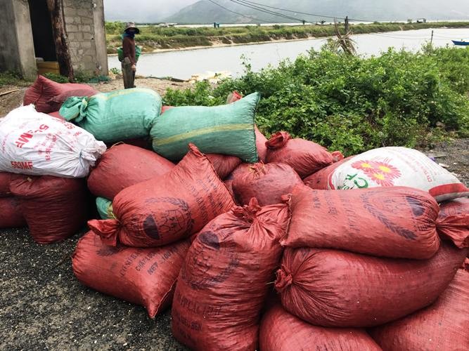 Sau mua bao, ngu dan hoi ha san “loc bien”, kiem ca trieu bac-Hinh-2