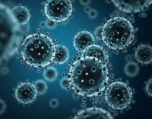 9 nguoi tu vong do cum lon H1N1 o Maroc