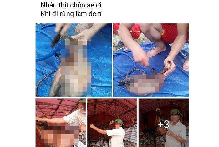 Xac minh nhom nguoi giet dong vat nghi chon bay roi dang len Facebook