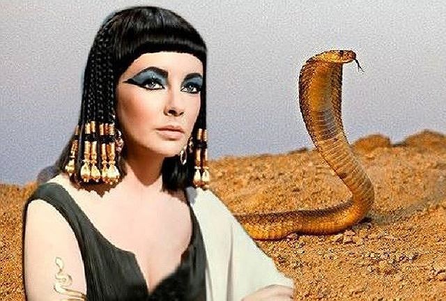 Giai ma cuc soc loai ran doc can chet Nu hoang Cleopatra