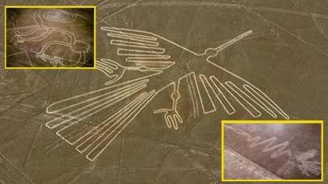 Cuc sot: Duong ke Nazca cuoi cung da duoc giai ma?-Hinh-9