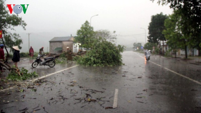 Du bao thoi tiet 29/8: Nhieu noi co mua to va dong, loc