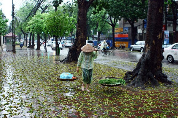 Du bao thoi tiet 16/9: Ha Noi nen nhiet cao du mua rao rai rac