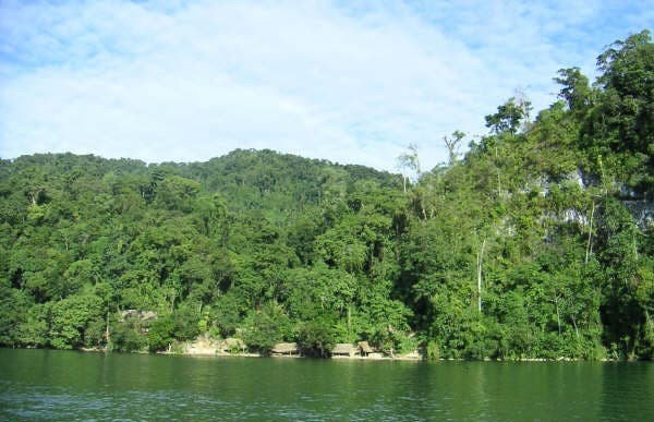 Giai ma kho bau khong lo bong dung bien mat cua nguoi Maya-Hinh-10