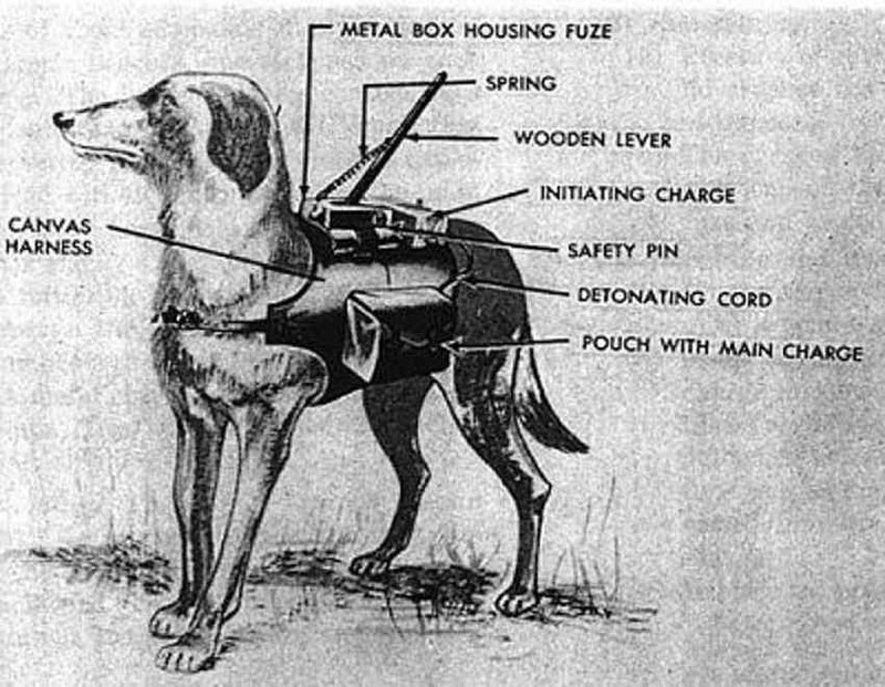 Bat ngo vu khi dac biet cua Lien Xo trong The chien 2-Hinh-5