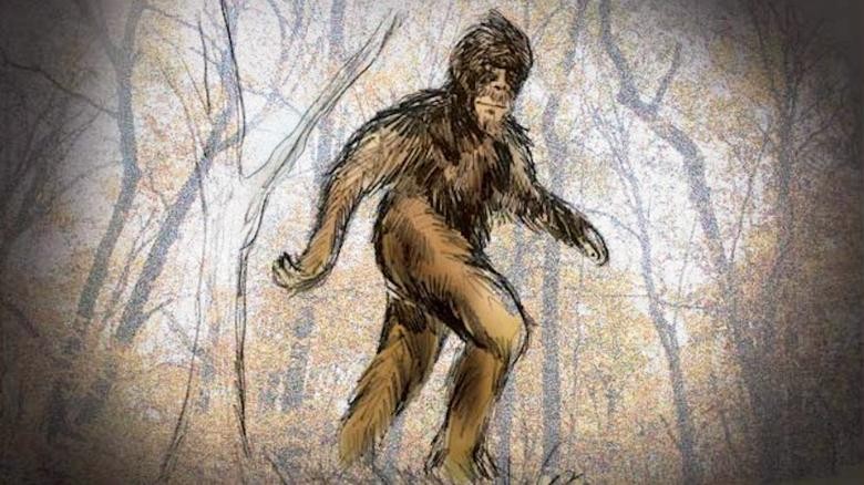 Loi giai qua choang ve su ton tai cua quai vat Bigfoot-Hinh-7