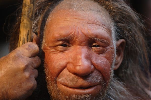 Su that hai hung ve nguoi Neanderthal song cach day khoang 40.000 nam-Hinh-2
