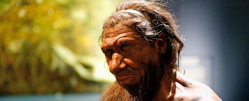 Su that hai hung ve nguoi Neanderthal song cach day khoang 40.000 nam-Hinh-7