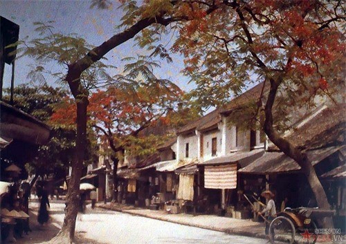 Cuoc song nguoi Viet nam 1915 qua bo anh mau quy hiem-Hinh-3