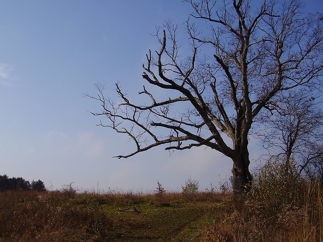 Am anh giai thoai “cay cua quy” ai cham vao xui xeo tan mang-Hinh-7