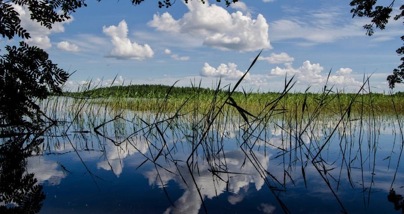 Vu an mang rung ron o ho nuoc khet tieng Phan Lan