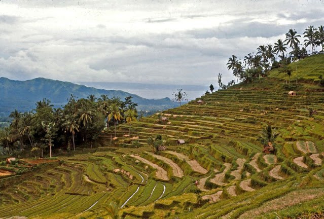 Anh hiem dat nuoc va con nguoi Indonesia nhung nam 1970-Hinh-7