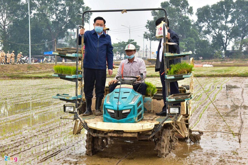 Bi thu, Chu tich Ha Noi xuong ruong cay lua cung nong dan-Hinh-2