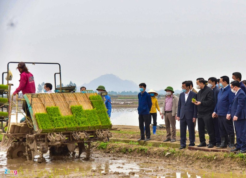 Bi thu, Chu tich Ha Noi xuong ruong cay lua cung nong dan-Hinh-3