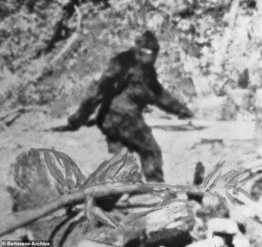 Bi an quai thu Bigfoot xuat hien “dinh dam” o Pennsylvania nam 1980-Hinh-5