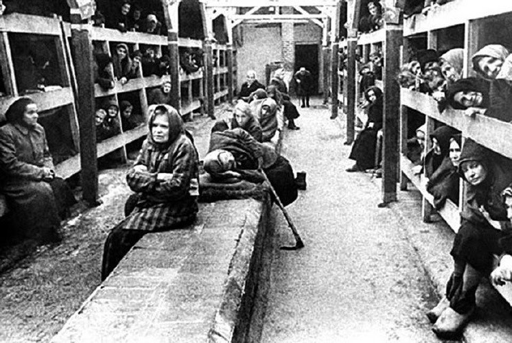 Nu ho sinh nguoi Ba Lan cuu song nhieu tre em o trai Auschwitz-Hinh-10