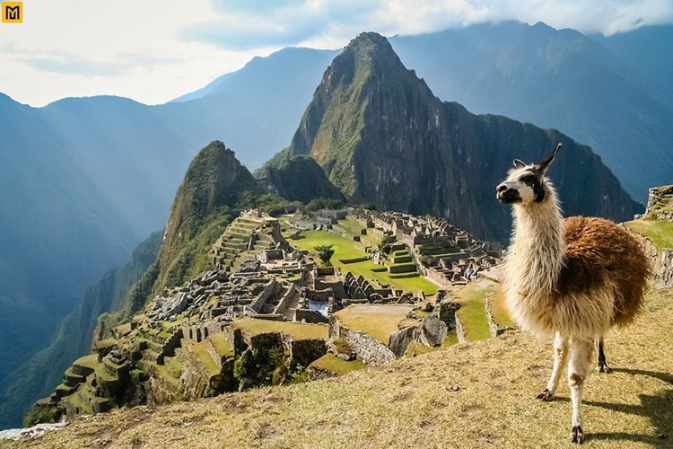 Khong can vua, nguoi Inca xay thanh dia Machu Picchu tai tinh the nao?