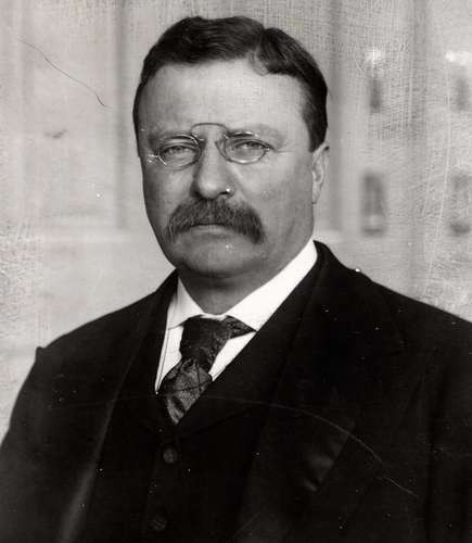 Cuc soc ly do Tong thong My Theodore Roosevelt suyt mu mot mat-Hinh-5