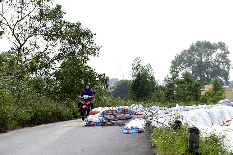 Sut lun nghiem trong tai nhieu diem de o Ha Noi-Hinh-15