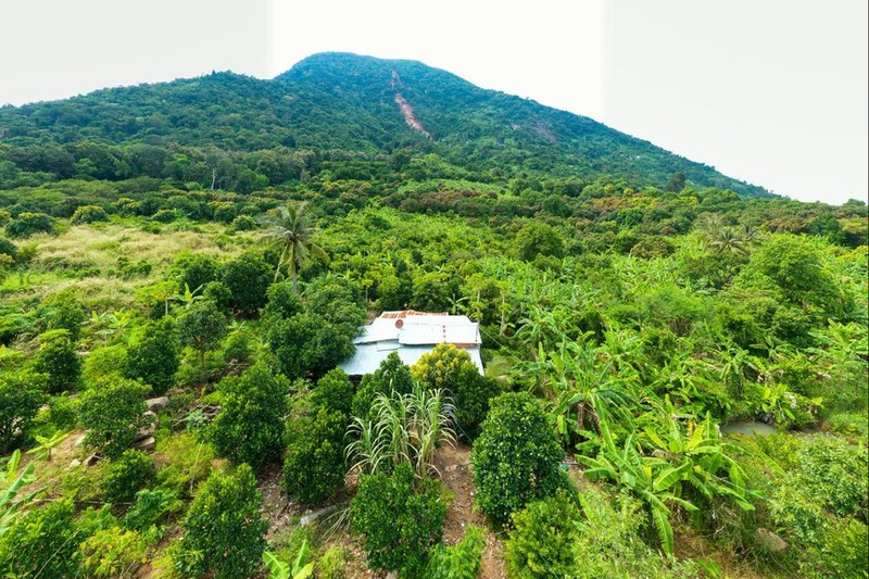 Chu tich tinh Tay Ninh noi ve nguyen nhan sat dat o nui Ba Den