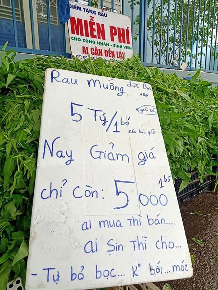 Anh ban rau “khung” nhat Viet Nam lan san ban hoa Tet-Hinh-5