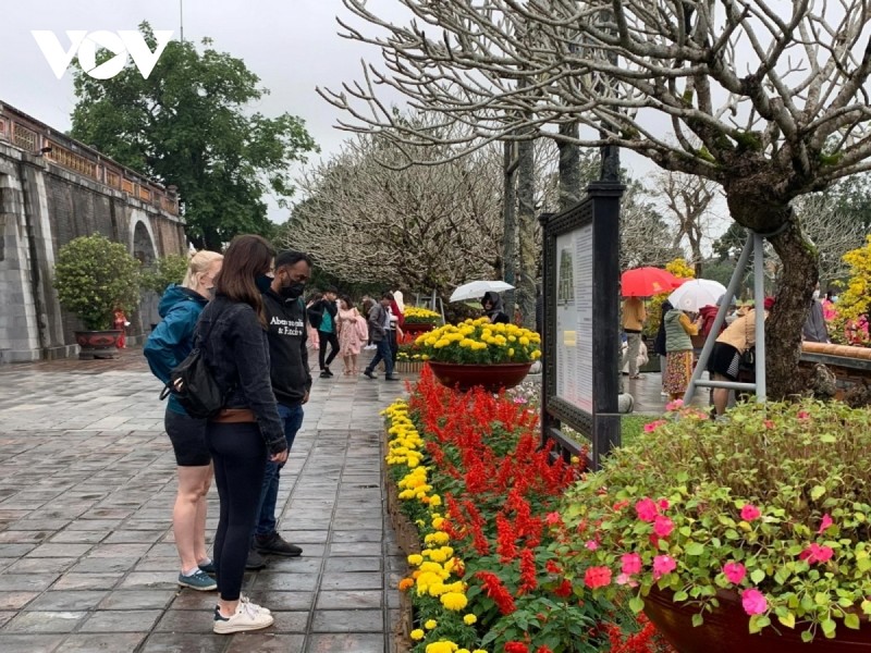 Nguoi dan, du khach chon Hue, Hoi An du xuan dau nam