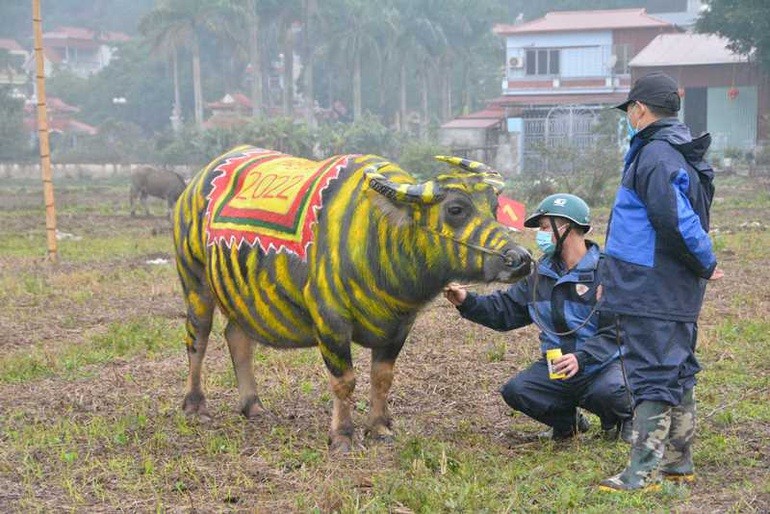 Trau hoa ho cho ngay le Tich dien nam Dan-Hinh-7